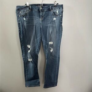 Torrid Distressed Skinny Jeans